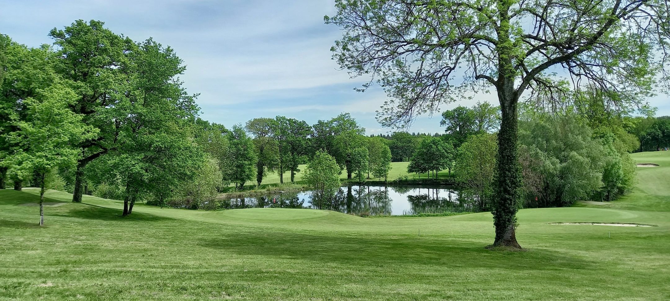 1468061755117756005-scaled