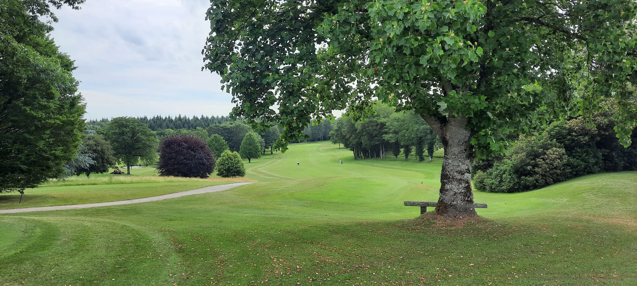 20230609_103909-scaled