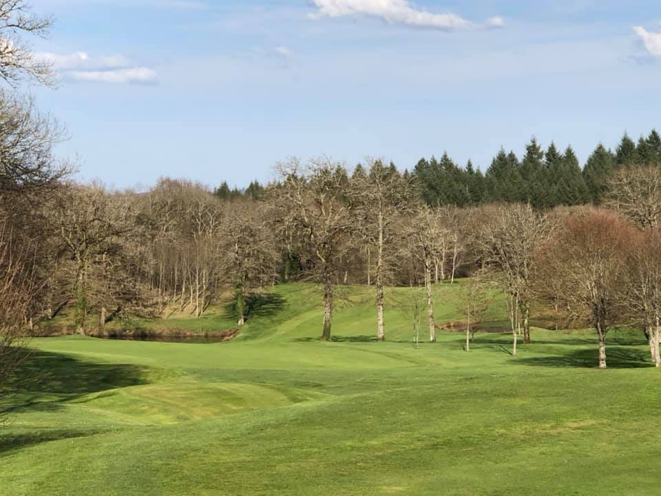 91582471_10157836332792254_7381075257236389888_n