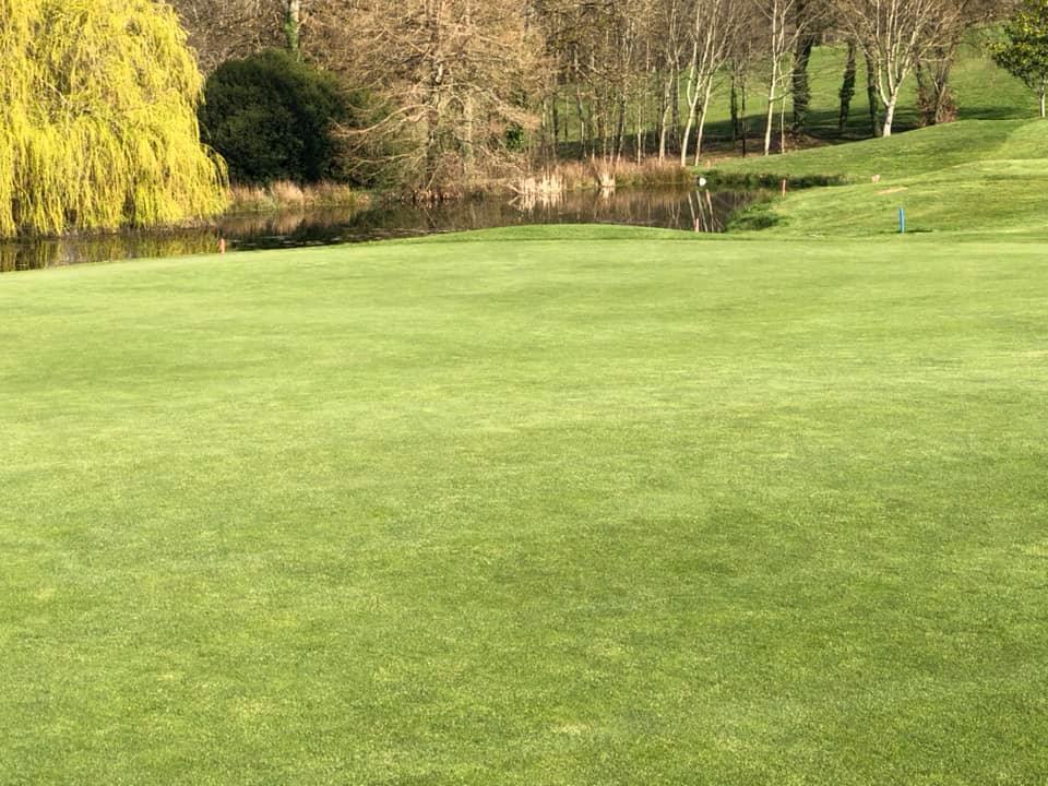 91779080_10157836332902254_6812431508620443648_n