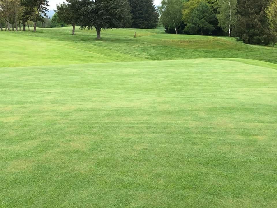 93504426_10157911104487254_1864652221833019392_n